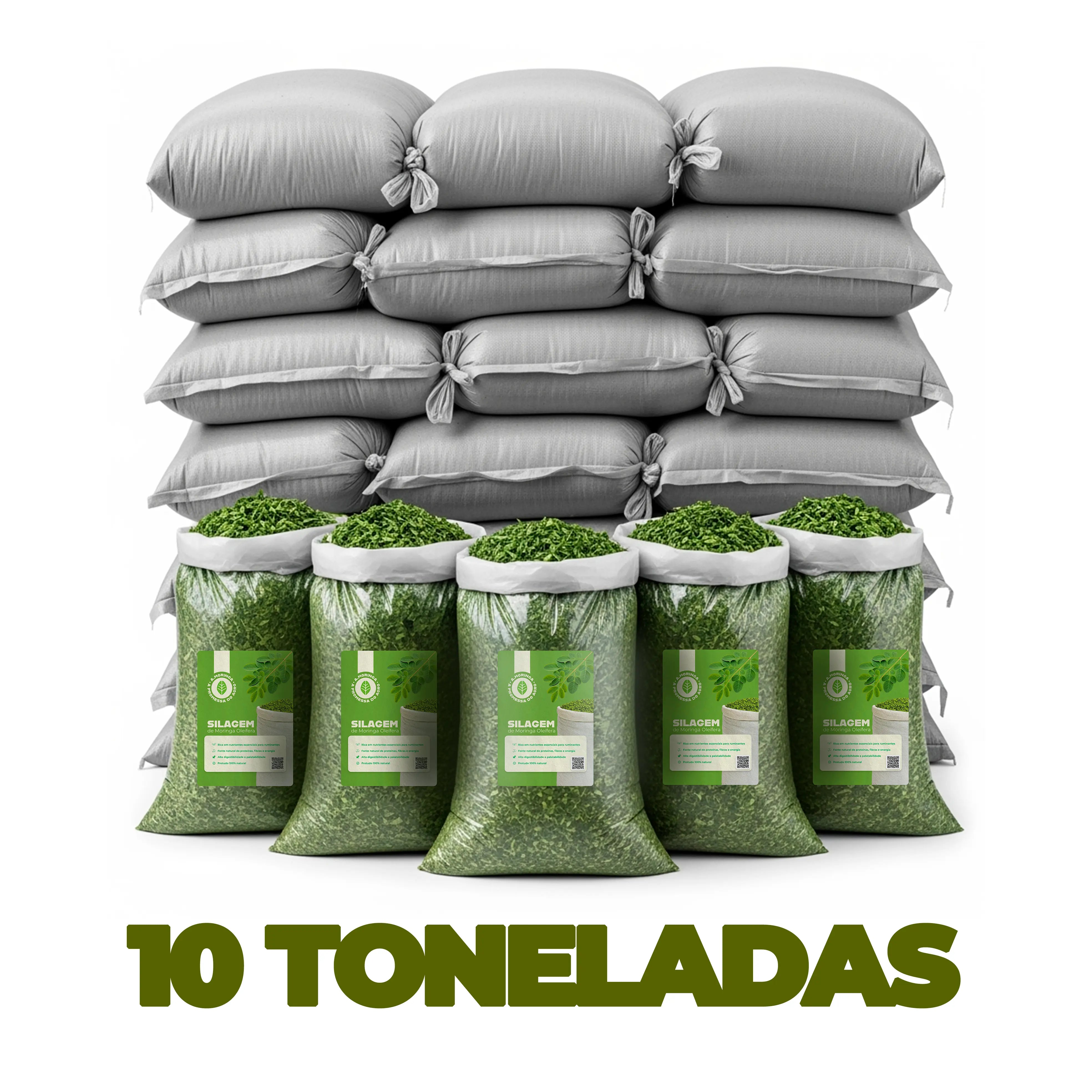 Silagem de Moringa - 10 Toneladas
