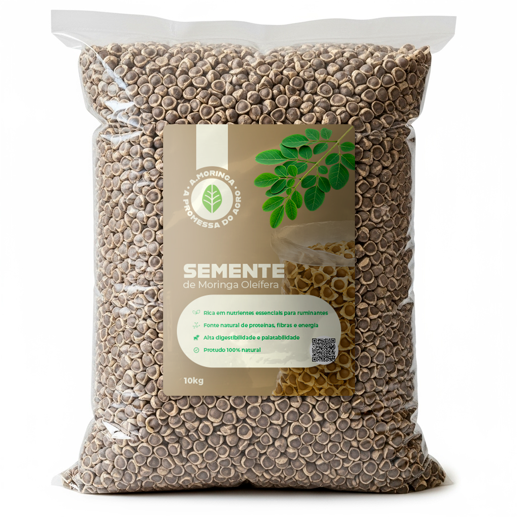Semente de Moringa - 10kg
