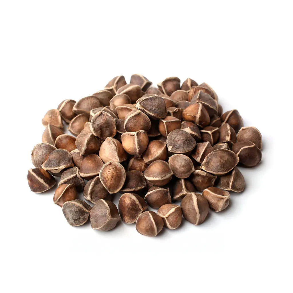 Semente de Moringa - 20kg