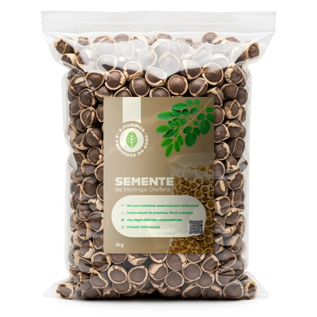 Semente de Moringa - 1kg