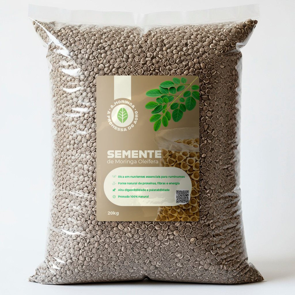 Semente de Moringa - 20kg
