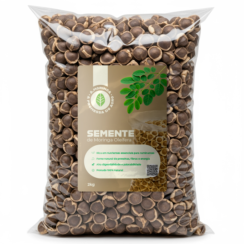 Semente de Moringa - 2kg
