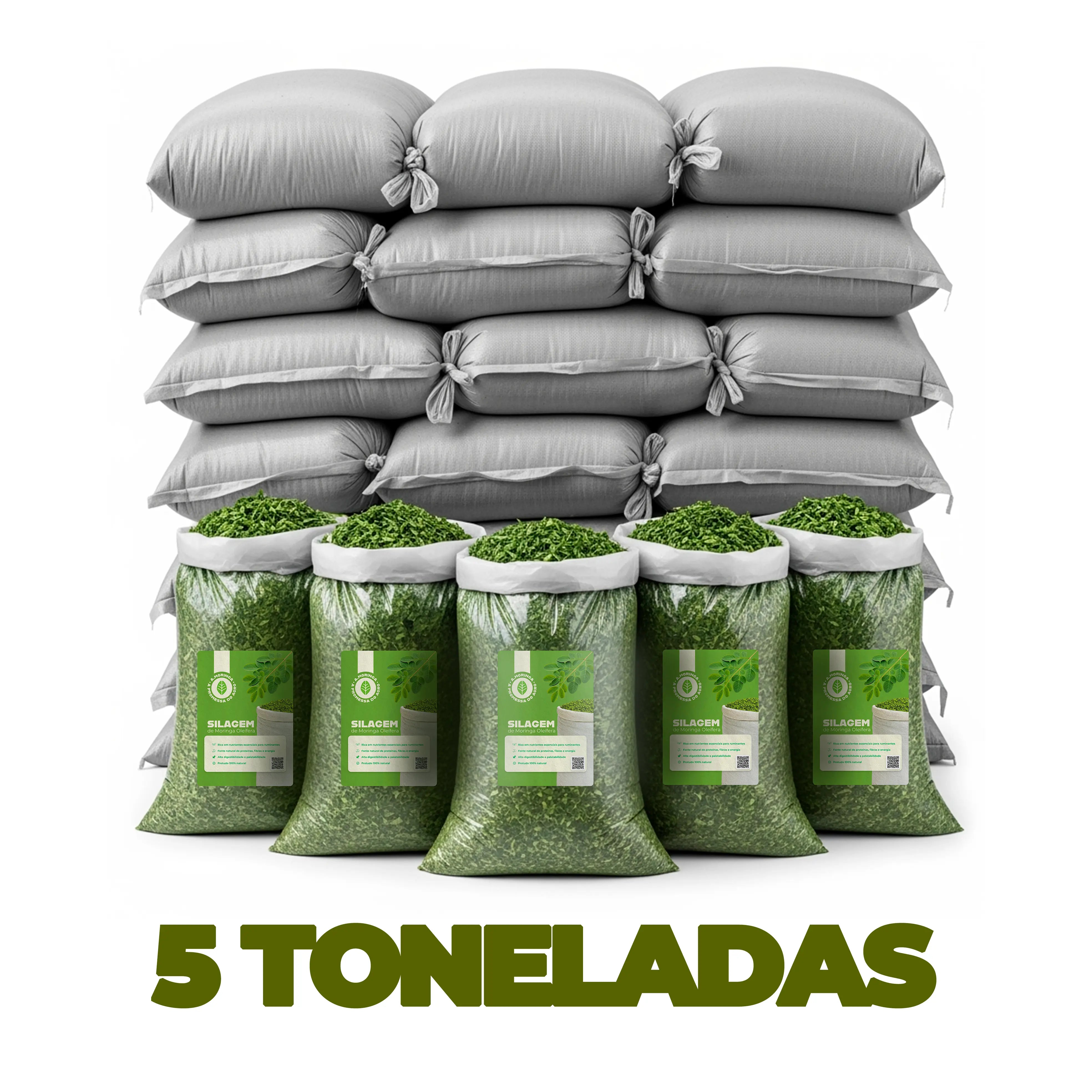Silagem de Moringa - 5 Toneladas