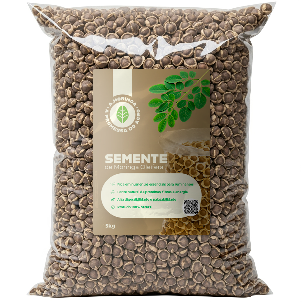 Semente de Moringa - 5kg